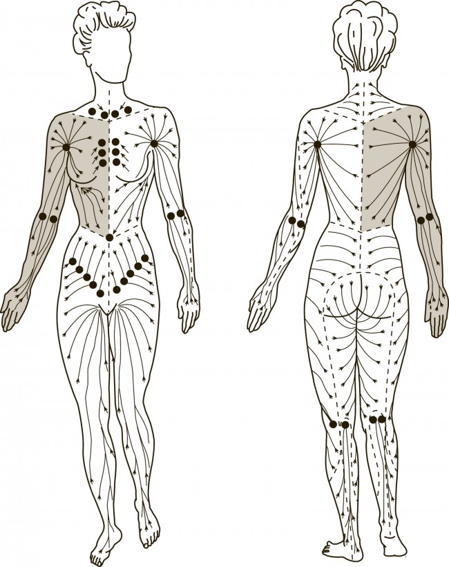 Lymphatic Drainage – Elemental Body Therapies