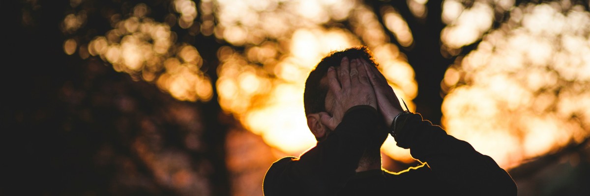 francisco moreno wuo8KnyCm4I unsplash