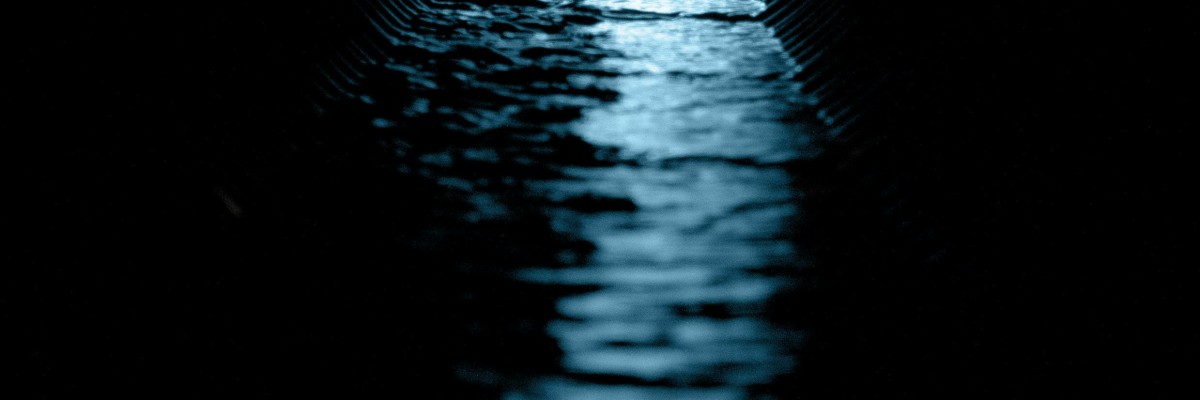 scott rodgerson IiKS5cbg5 g unsplash